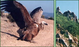 Parque Natural "Sierra de Hornachuelos"